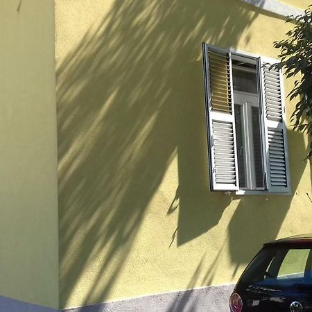 Apartment Jazine Zadar Exteriér fotografie
